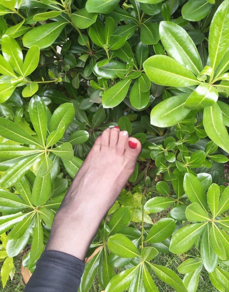 Detail of nylon-covered foot gently brushing bright petals on a garden blanket